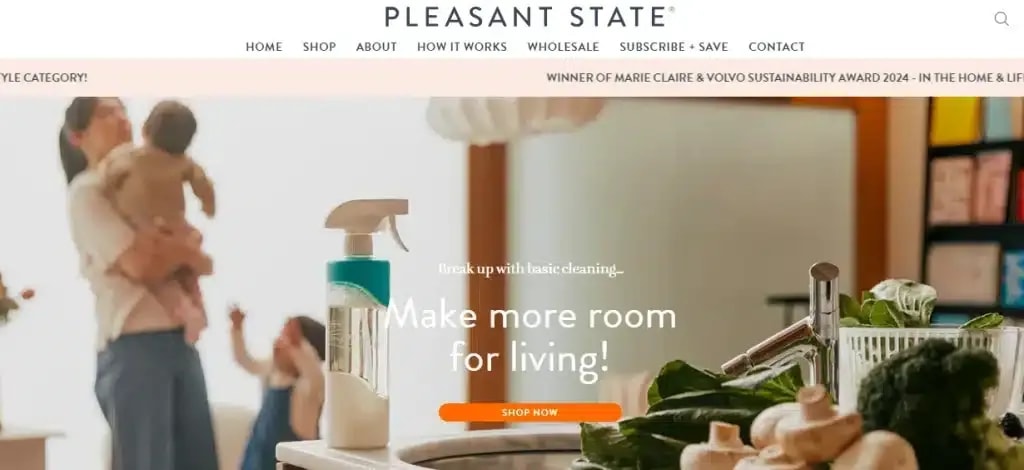 Pleasant State website homepage